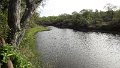 AMO (129)